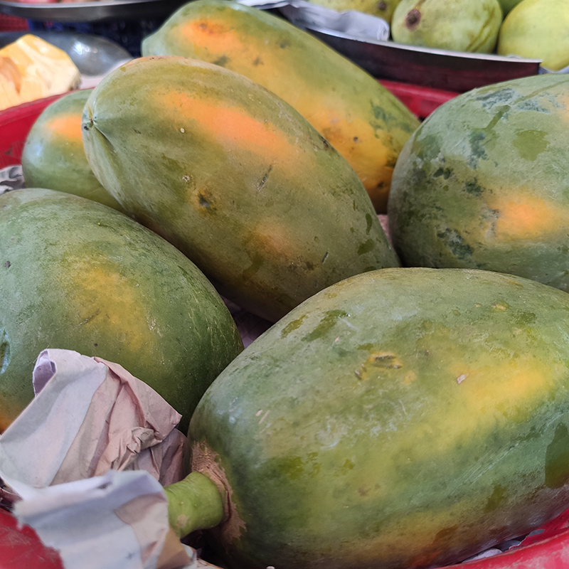 Đu đủ đỏ (1 trái)